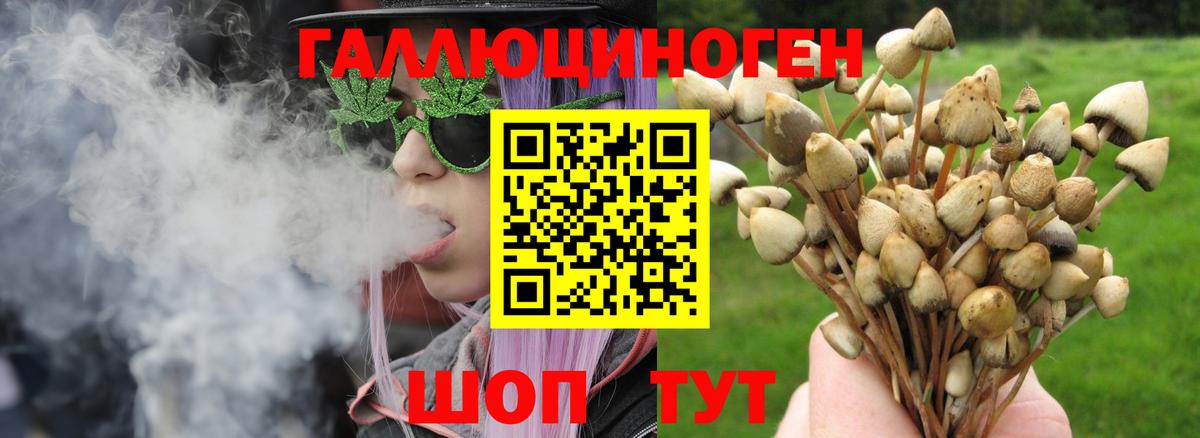 Чапаевск  Галлюциногенные грибы прущие грибы  Вход с VPN 