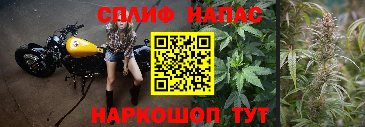 Канабис сатива Чапаевск